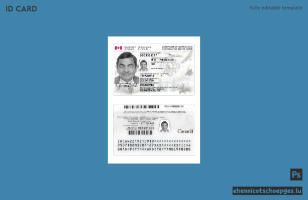 Beispielansicht eines Ausweises für den Status als Indianer in Kanada
